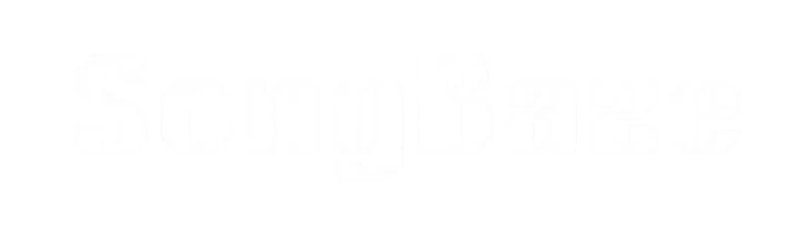 SongBaze